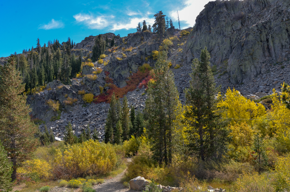 featured image showing red and yellow fall colors in Sierra Nevada mountains Truckee